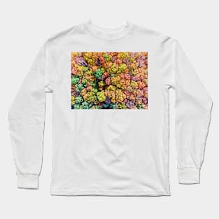 Aerial view of colorful autumn forest Long Sleeve T-Shirt